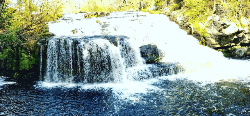 Shohola Falls Trail